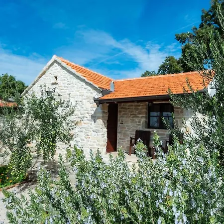 Eco Ranch Dreamland
